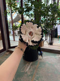 Vanilla Scrunchies